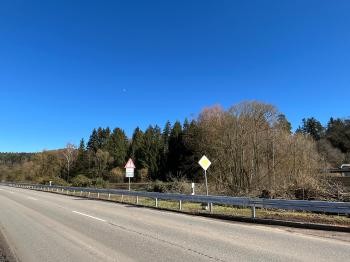 Leitblanke