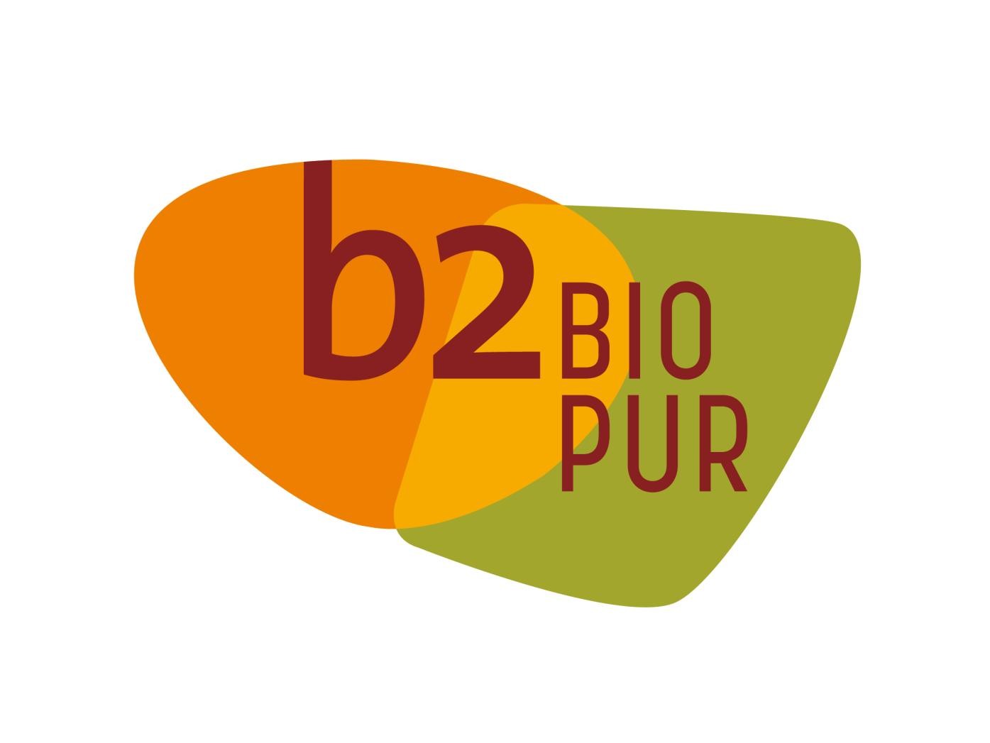 Logo b2 Logo b2