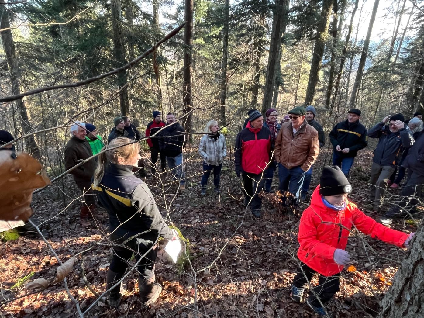 Waldbegehung Waldbegehung
